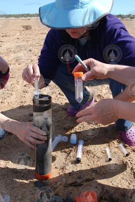 Joan Bernhard preparing a sediment sample.