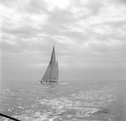 Aries full view under sail