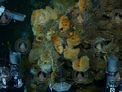 IGT's and corer mounted on ROV Jason sampling vent areas.