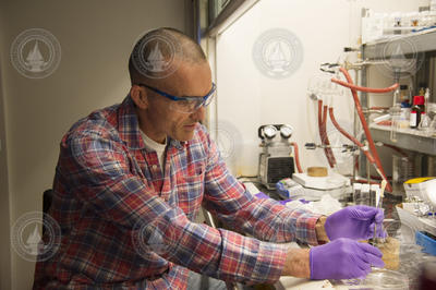 Chris Reddy working with Isochrysis algae in his lab.