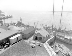 Atlantis, Balanus, Mentor and other small boats at dock