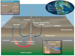 Illustration depicting where microbial life is discovered in vents.