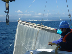 Japanese biologist Jun Nishikawa rinsing sampling net off vessel Umitaka Maru.