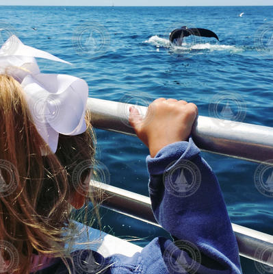 Jessica's daughter viewing her first whale on her first whale watch cruise.