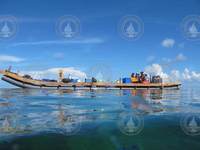 Makeshift floating lab raft used at Dongsha Atoll in South China Sea.