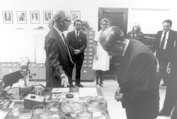 Emperor Hirohito looking at specimens at MBL.
