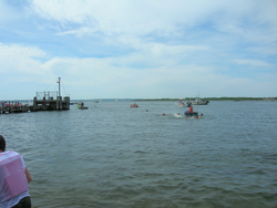 View of Great Harbor near the end of the race