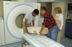 Hanu Singh and Peter Landry loading coral onto CT scanner.