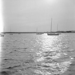 Boats in Vineyard Haven.