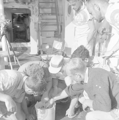 Looking at haul on deck of the Chain.