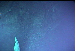 Alvin dive 3881. Discovered "Lost City" in the Atlantic.
