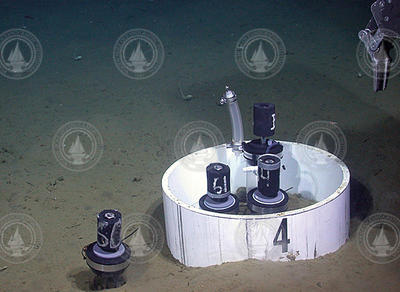 Core cylinders in seafloor sediment 3,000 meters deep.