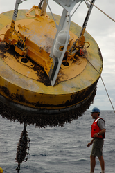 Jeff Lord recovering STRATUS VI buoy.