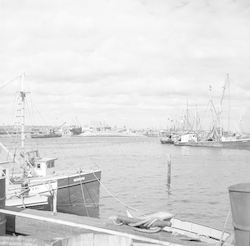 Fairhaven, Massachusetts after Hurricane Carol.