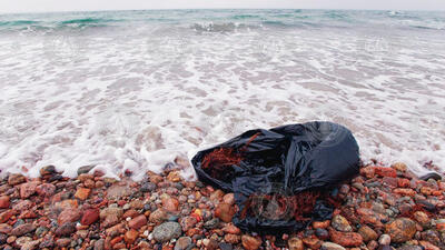 Plastic bag debris at a rocky coastline.