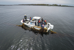 Univ. New England research boat sampling and testing kelp with REMUS.