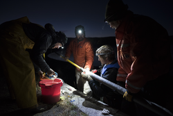 Researchers extracting and labeling cores at night using headlamps.