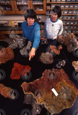Meg Tivey and Margaret Sulanowska with rock collection.