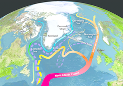 Diagram showing the flow of the North Atlantic and Norwegian Atlantic Currents.