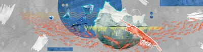 Antarctic Krill Banner for Oceanus magazine article.
