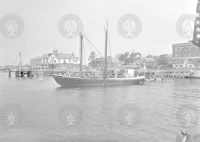 Schooner Reliance at dock in Woods Hole.