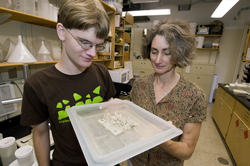 SSF Richard Secrist and Lauren Mullineaux looking at specimens.