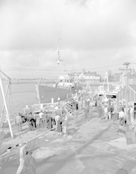 Crowd on dock, Albatross III arrival