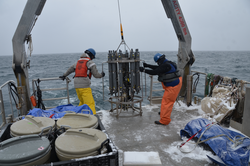 Recovering CTD water sampling rosette to deck of Tioga.