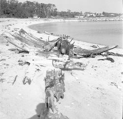 Wreck on Vineyard Haven beach.