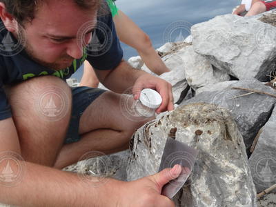 Bryan James collecting an oil spill sample off the jetty rocks.