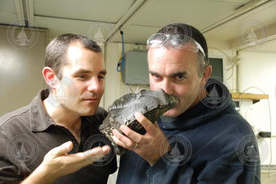 Dave Valentine and Chris Reddy smelling recovered sample.