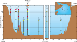 Profile of Arabian Sea traps configuration.