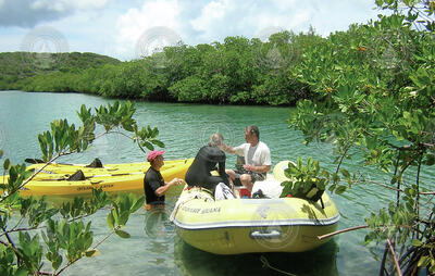 Don Anderson (left) and colleagues collecting water samples in the USVI.