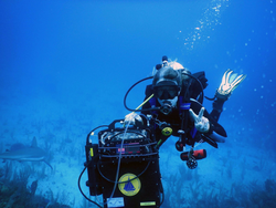 Colleen Hansel diving with DISCO instrument.