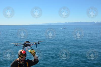 Michael Moore releasing a drone during whale research expedition.