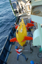 AUV Sentry recovery operations.