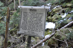 Sign in the woods promoting the importance of water.