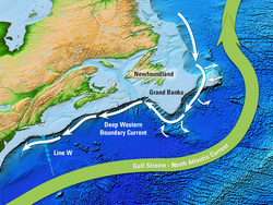Illustration depicting the Deep Ocean Boundary Current.