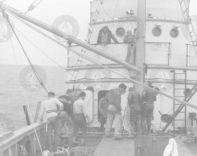 Group working on deck of Bear