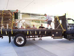 Moving the pilot whale skeleton from Redfield to MRF.