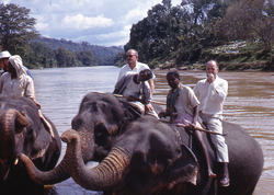 Woody, Fuzz and Dana Densmore in Kandy, Ceylon.