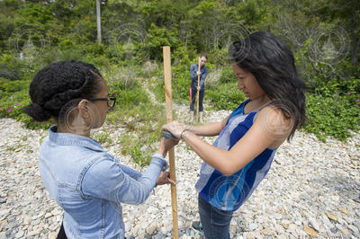 PEP students doing a beach survey at WHOI Shore Lab beach.