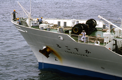R/V Yokosuka visit to WHOI with Shinkai 6500 stowed onboard.