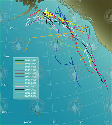 North Pacific 52-hertz whale tracking map.