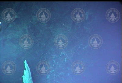 Alvin dive 3881. Discovered "Lost City" in the Atlantic.
