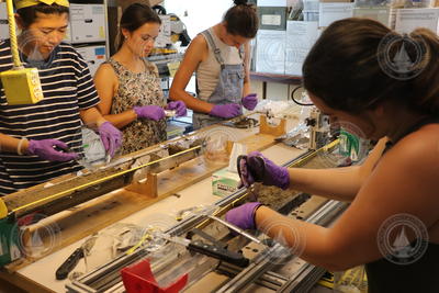 Luk, Francesconi, Gosselin and Boggess processing recovered cores.