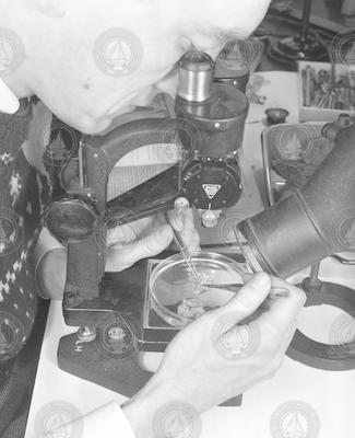 Louis Hutchins working with microscope.