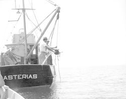 Working on deck of the Asterias
