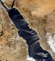 Satellite image of Red Sea wintertime wind jets.