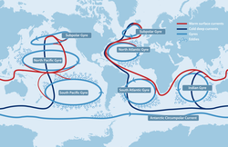 Schematic road map of the ocean's circulation.